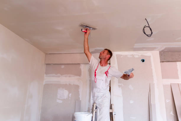 Best Fire-Damaged Drywall Repair  in Fox Chase, PA